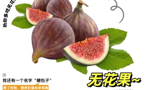 芡实粉功效-权威山药薏仁芡实粉功效平台,分享专业芡实粉的功效与作用及食用方法知识_芡实粉功效网