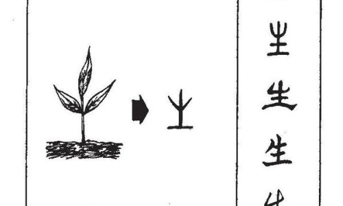 芡实粉功效与作用及禁忌-权威山药薏仁芡实粉功效平台,分享专业芡实粉的功效与作用及食用方法知识_芡实粉功效网