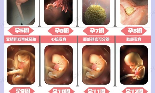 权威山药薏仁芡实粉功效平台,分享专业芡实粉的功效与作用及食用方法知识_芡实粉功效网